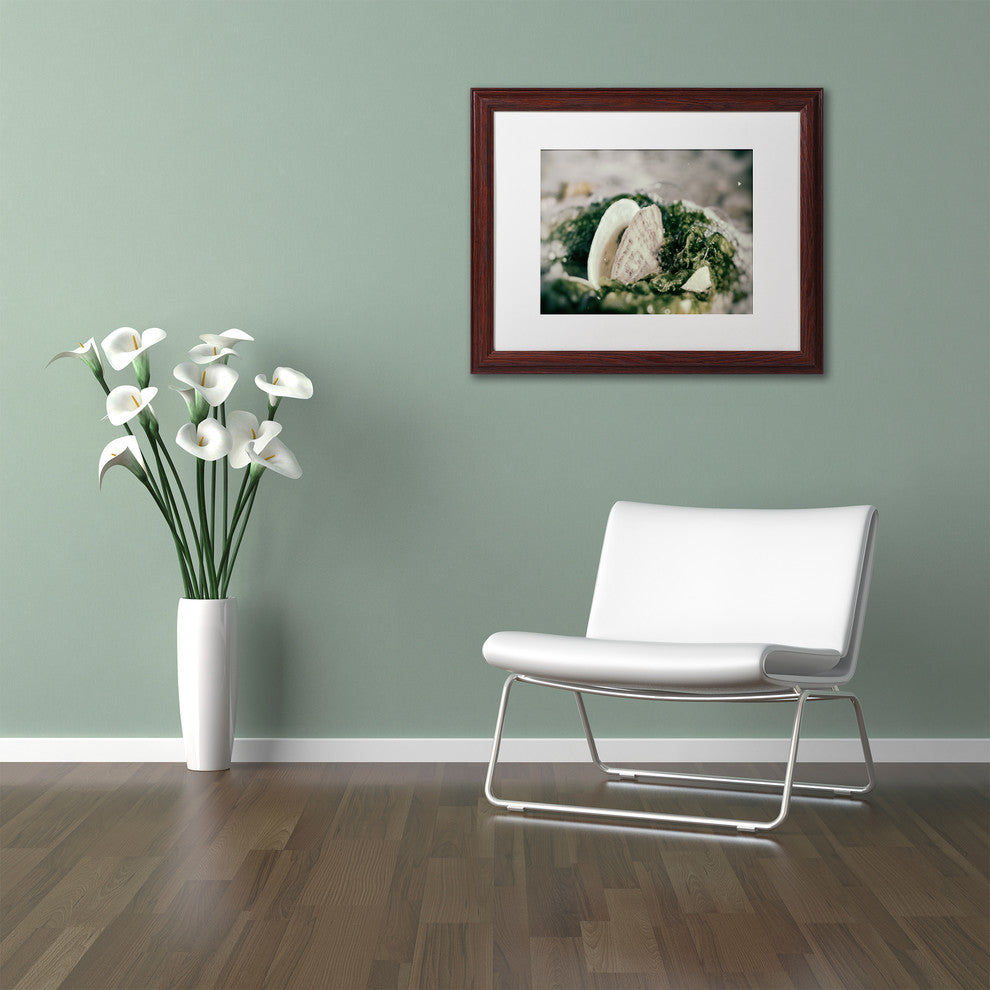 PIPA Fine Art 'Seaweed and Shells' Matted Framed Art, 20x16