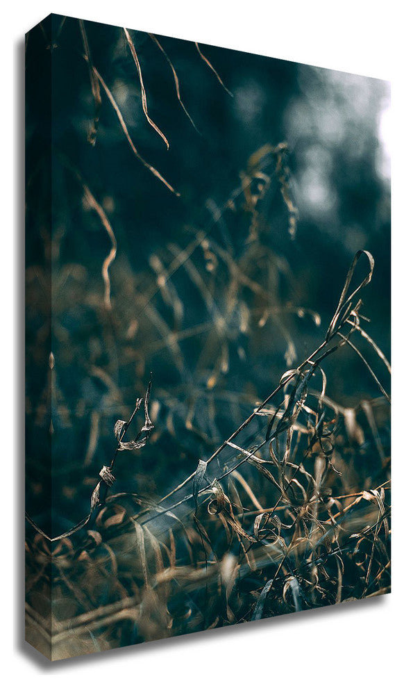 Secret 1 by Design Fabrikken, Print on Canvas, 20"x28"