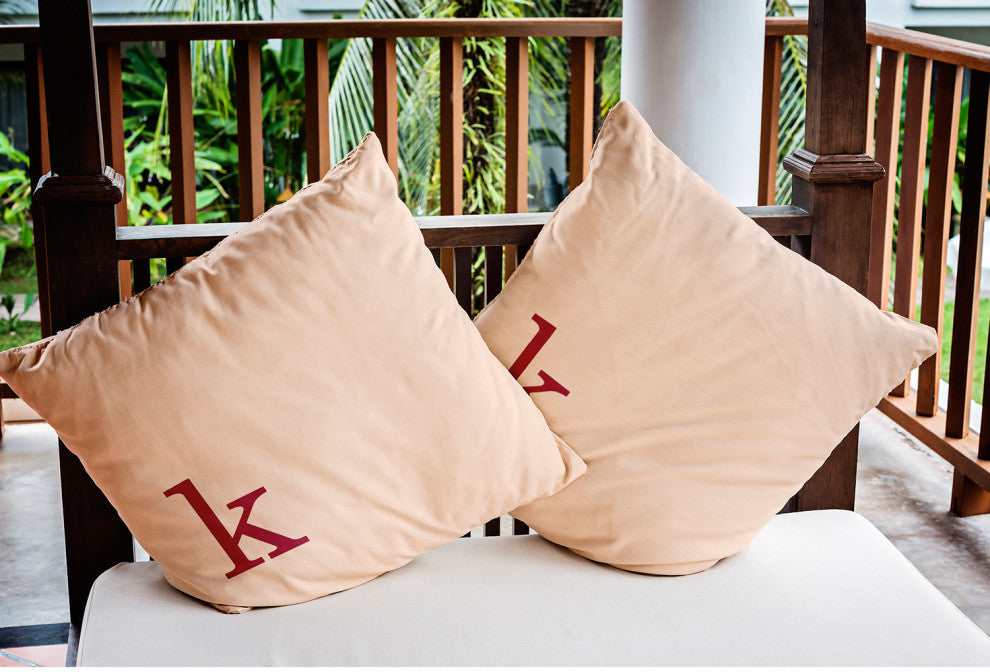 20" x 20" Modern Monogram Indoor/Outdoor Polyester Throw Pillow, Cranberry