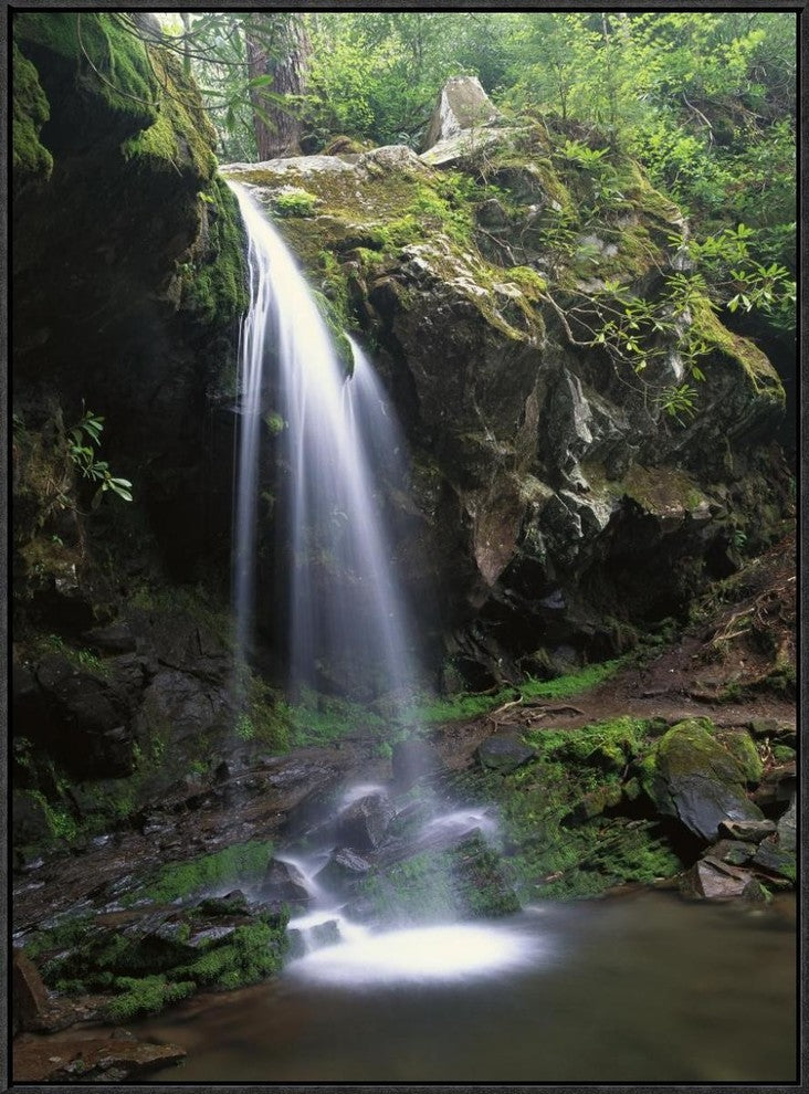 Grotto Falls and Roaring Fork Motor Nature Trail, Great Smoky Mountains, 24"x32"