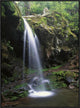 Grotto Falls and Roaring Fork Motor Nature Trail, Great Smoky Mountains, 24"x32"