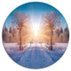 Winter Landscape In City Park, Landscape Disc Metal Artwork, 11"