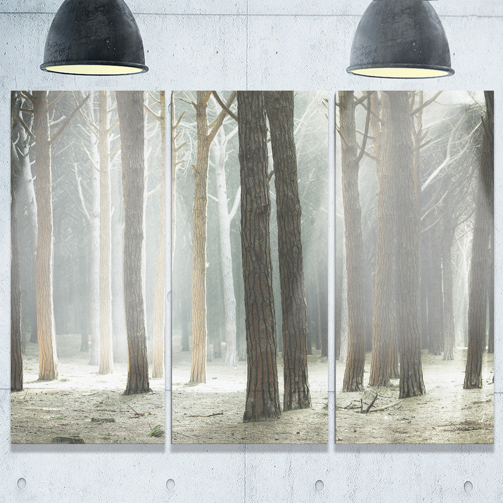 "Maritime Pine Tree Forest With Rays" Forest Metal Wall Art, 3 Panels, 36"x28"