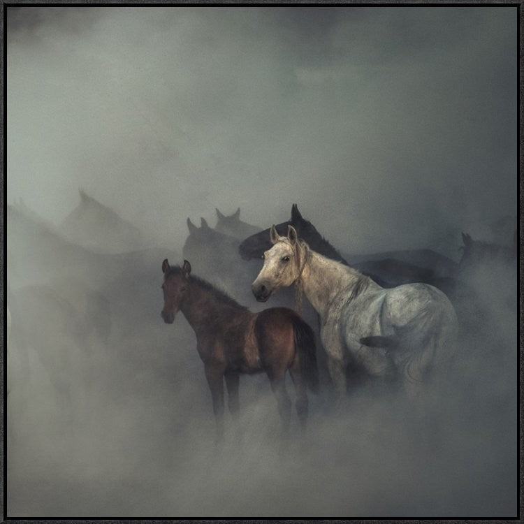 "The Lost Horses" Framed Canvas Giclee by Huseyin Taskin, 31x31"