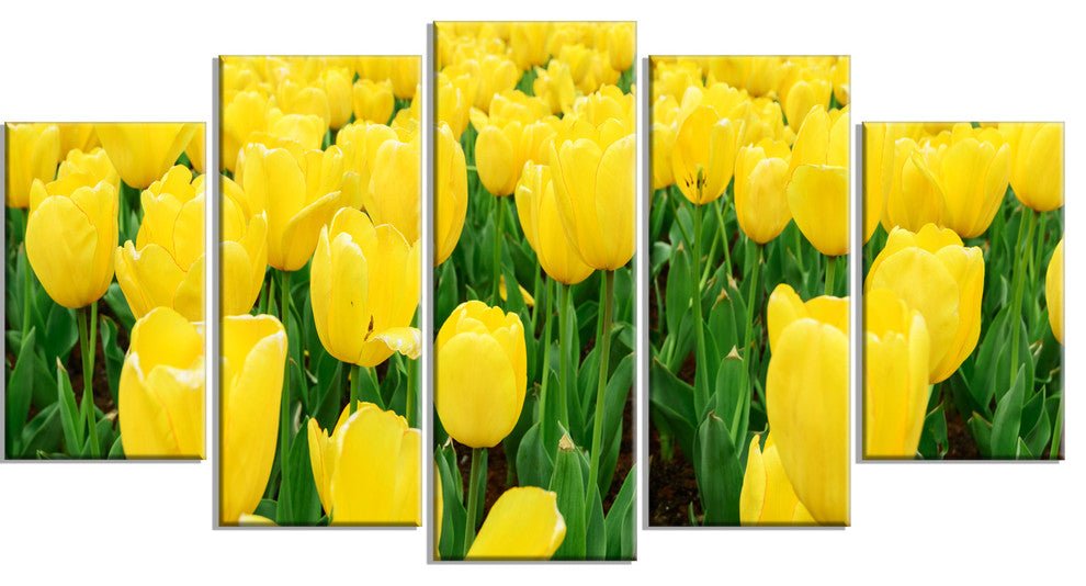 Bright Tulip Flowers in Garden, Floral Canvas Art Print, 60"x32", 5 Panels
