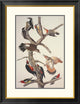 "Hairy Woodpecker" Framed Digital Print by John James Audubon, 26"x34"