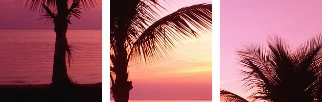 "Miami Beach FL" Canvas Art, 60"x20"x1.25"