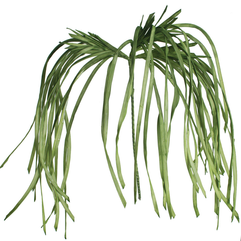 Kalalou Csl1183 Botanica #2183