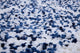 Oasis Delphine Royal Blue and White Polyester Area Rug