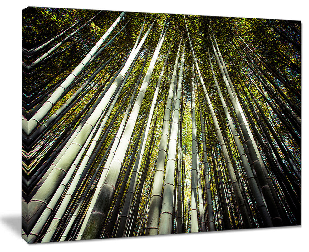 "Long Bamboos in Bamboo Forest" Forest Canvas Wall Art Print, 20"x12"