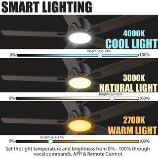 CARRO Indoor Smart Ceiling Fans with Dimmable LED light and Remote, 52inch