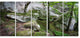 "Deep Moss Forest With Rocks" Landscape Art Print Canvas, 5 Panels, 60"x28"