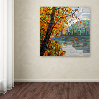 'Reflections' Canvas Art by Mandy Budan