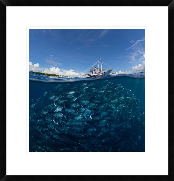 "Go Diving?" Framed Digital Print by Andrey Narchuk, 23x24"