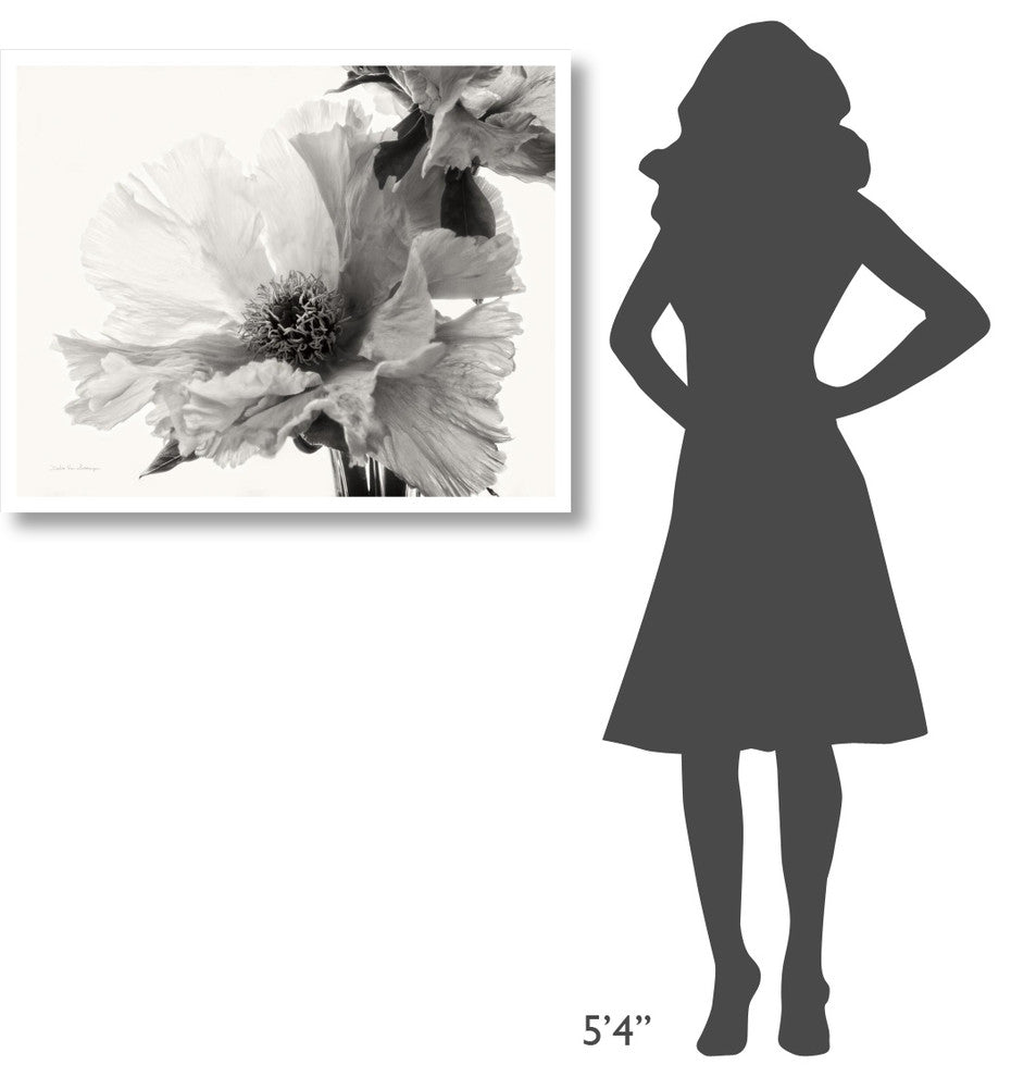 "Translucent Peony V - BW" Digital Paper Print by Debra Van Swearingen, 37"x30"
