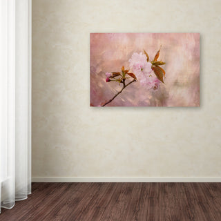 Jai Johnson 'Cherry Blossom' Canvas Art, 47 x 30