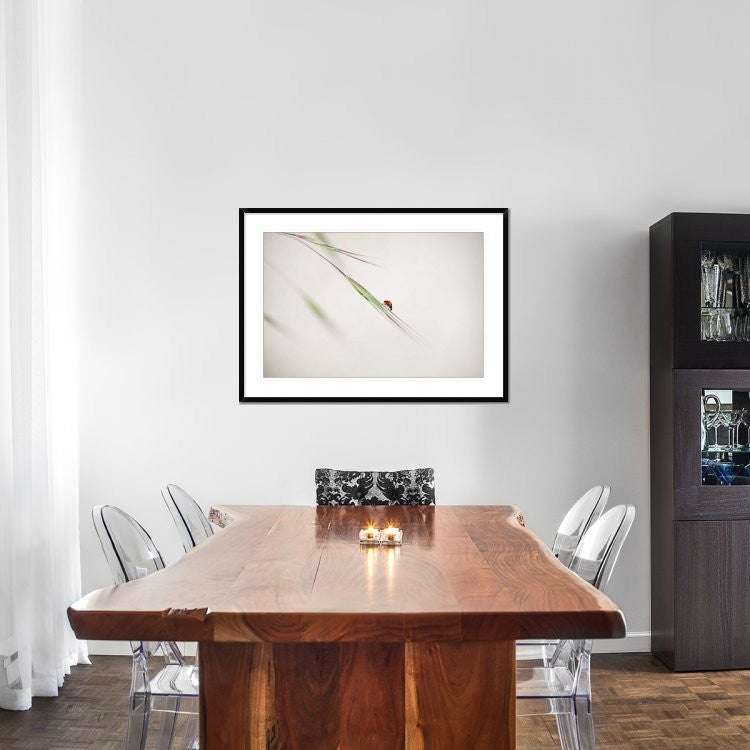 "Untitled" Framed Digital Print by Anna Cseresnjes, 44x32"