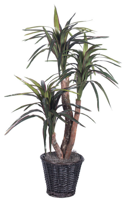 Vickerman 4' Marginata Extra Full