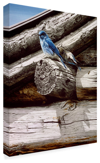 Ron Parker 'Weathered Wood' Canvas Art, 32"x24"