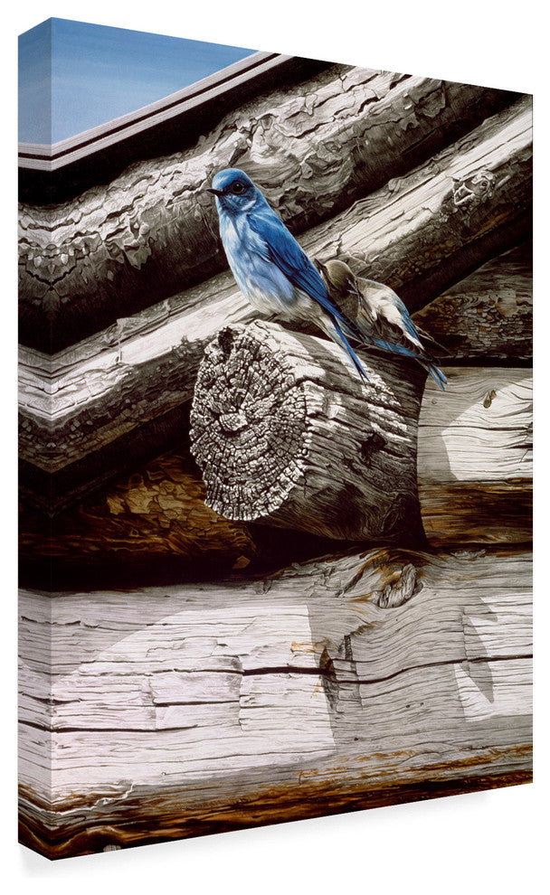 Ron Parker 'Weathered Wood' Canvas Art, 32"x24"