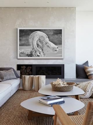 Marmont Hill, "Ram Profile 2" Framed Painting Print, 36x24