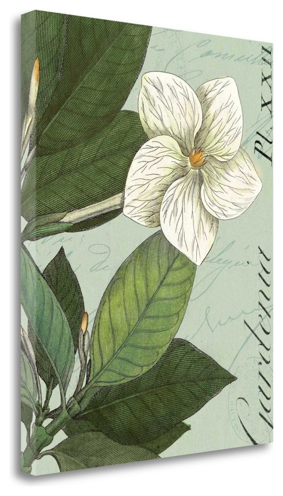 "Botanique Bleu III" By Wild Apple Portfolio, Giclee on Gallery Wrap Canvas
