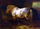 Wouter Verschuur Feeding the Horses in a Stable Wall Decal