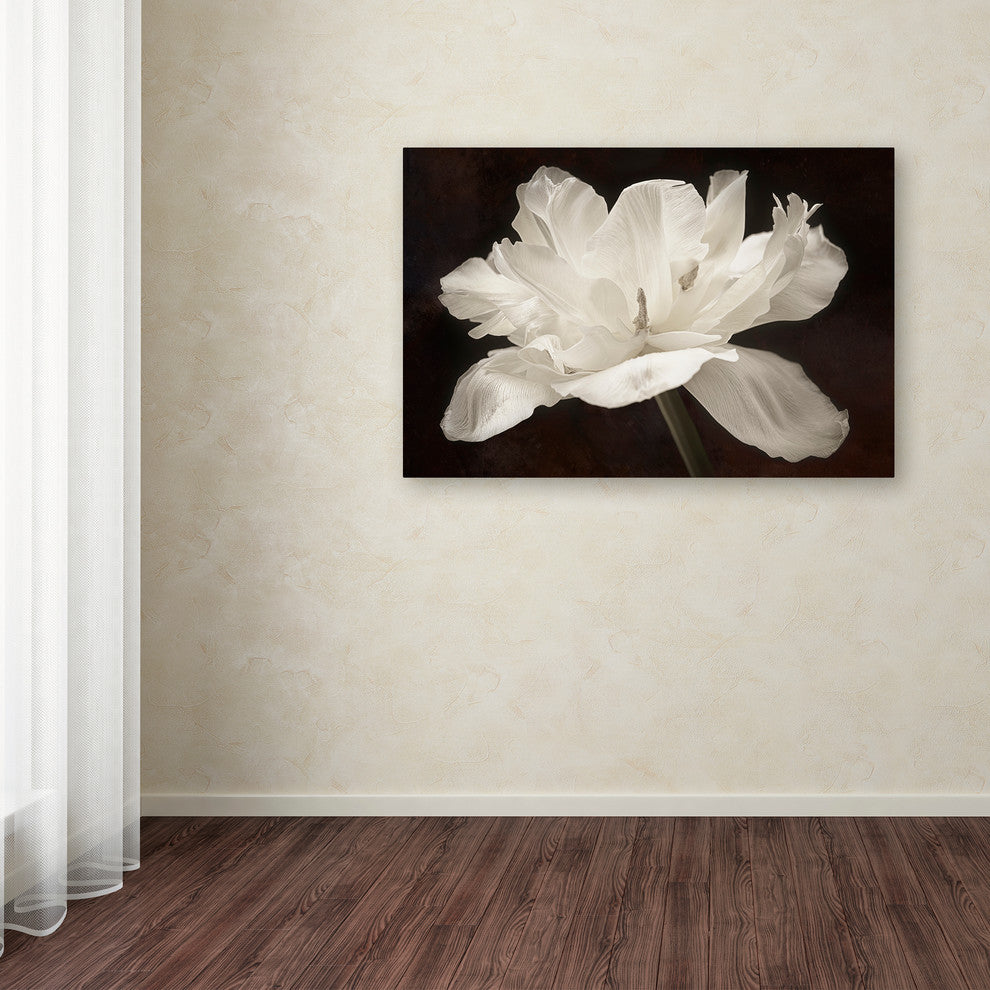 Cora Niele 'White Tulip I' Canvas Art