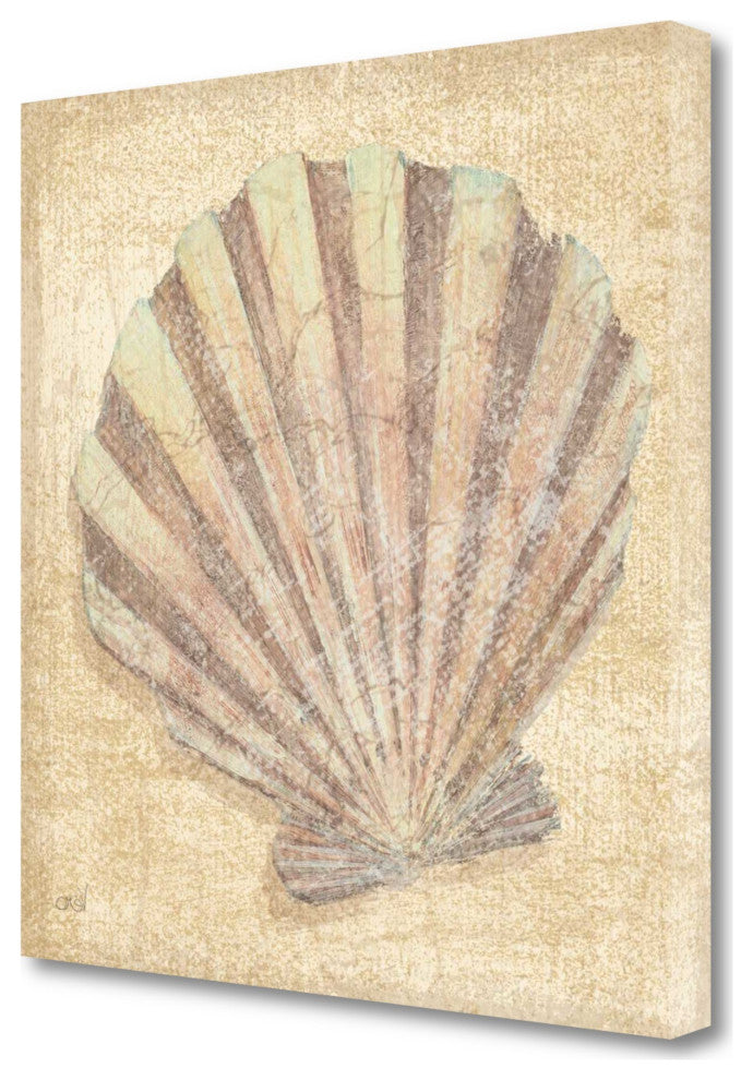 24" Bohemian Pastel Seashell Giclee Wrap Canvas Wall Art