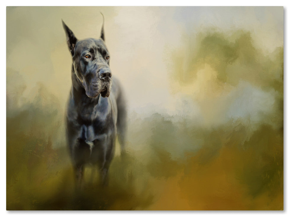 Jai Johnson 'Wistful Dane' Canvas Art, 32 x 24