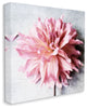 Pink Spring Floral with Curly Petal Details30x30