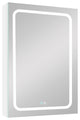 20 in.W x 30 in. H Aluminum Surface Mounted Medicine Cabinet with Door