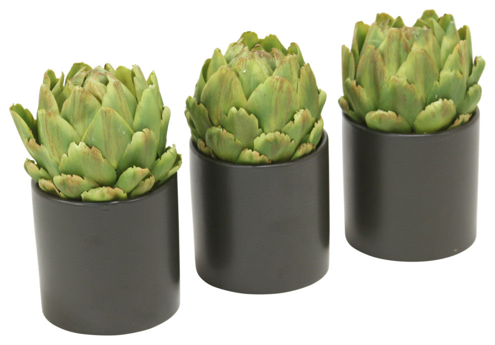 Green Artichokes in Black Circle Pot (Set of 3)