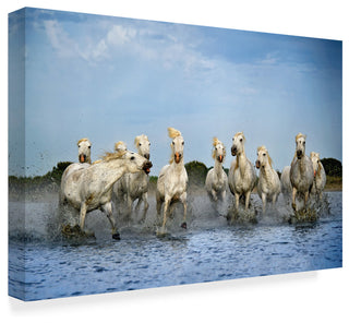 Xavier Ortega 'Out Of My Way' Canvas Art, 24"x16"