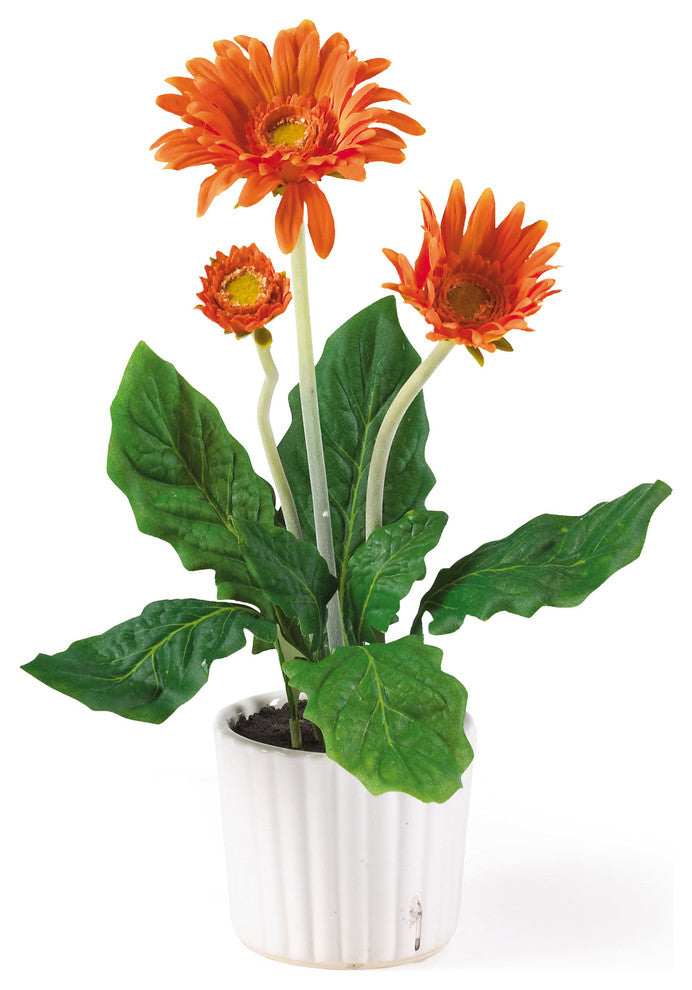 Gerber Daisy With White Vase, Set of 6