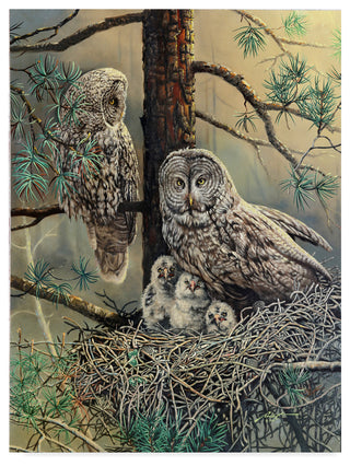 "Great Gray Owl  Family     " by D. Rusty Rust, Canvas Art