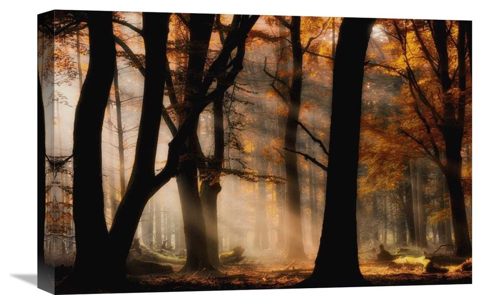 "Autumn Light" Stretched Canvas Giclee by Jan Paul Kraaij, 22x15"