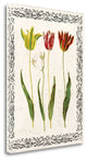 "Spring Blooms I" By Sabine Berg, Giclee Print on Gallery Wrap Canvas