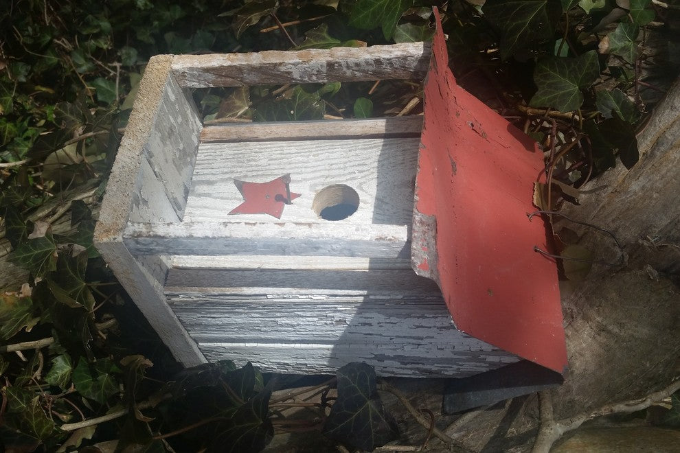 Beavertown Bird Shack, White With Red Roof
