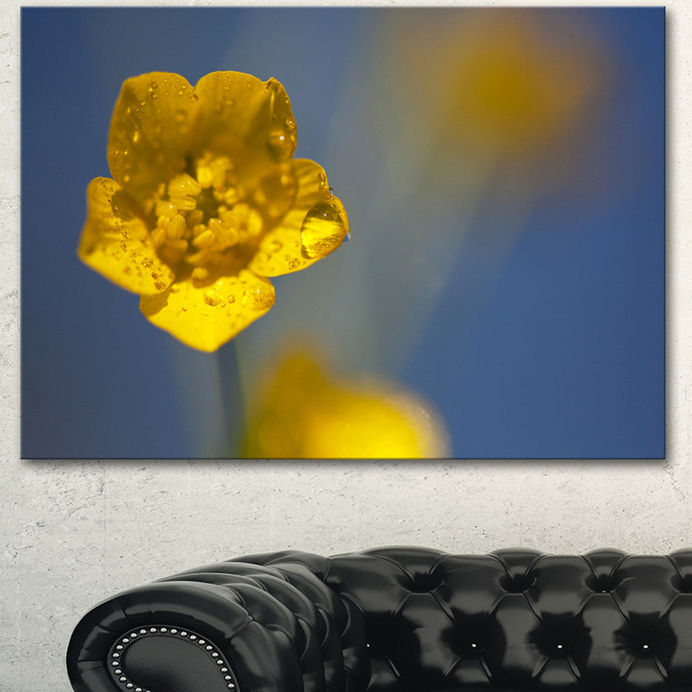 Solitary Large Yellow Flower, Floral Canvas Art Print, 40"x30"