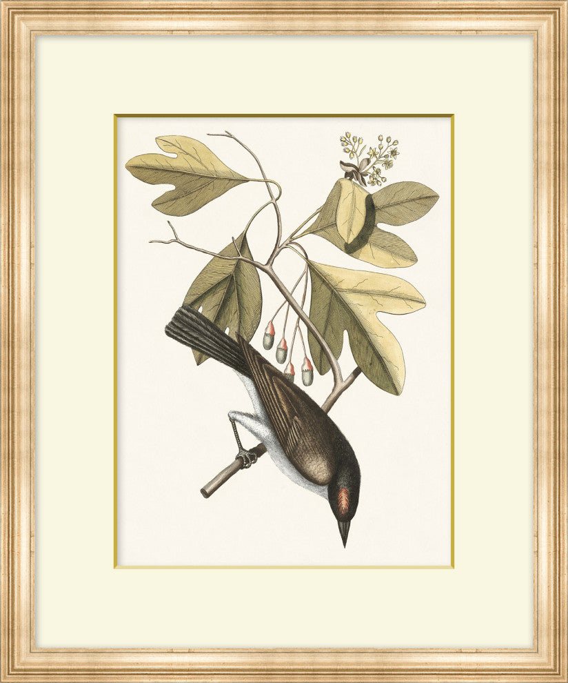 Summer Bird 2, Giclee Reproduction Artwork