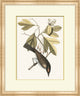 Summer Bird 2, Giclee Reproduction Artwork