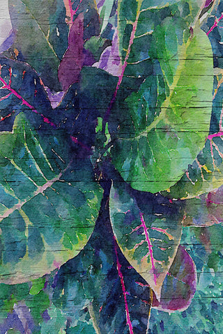 "Leaf Reflection 4" Print on Canvas by Irena Orlov