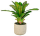 16 Inch Artificial Succulent Plant In a Pot
