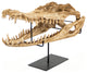Alligator Skull Statue