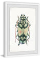 "Camouflage Bug" Framed Painting Print, 24"x36"
