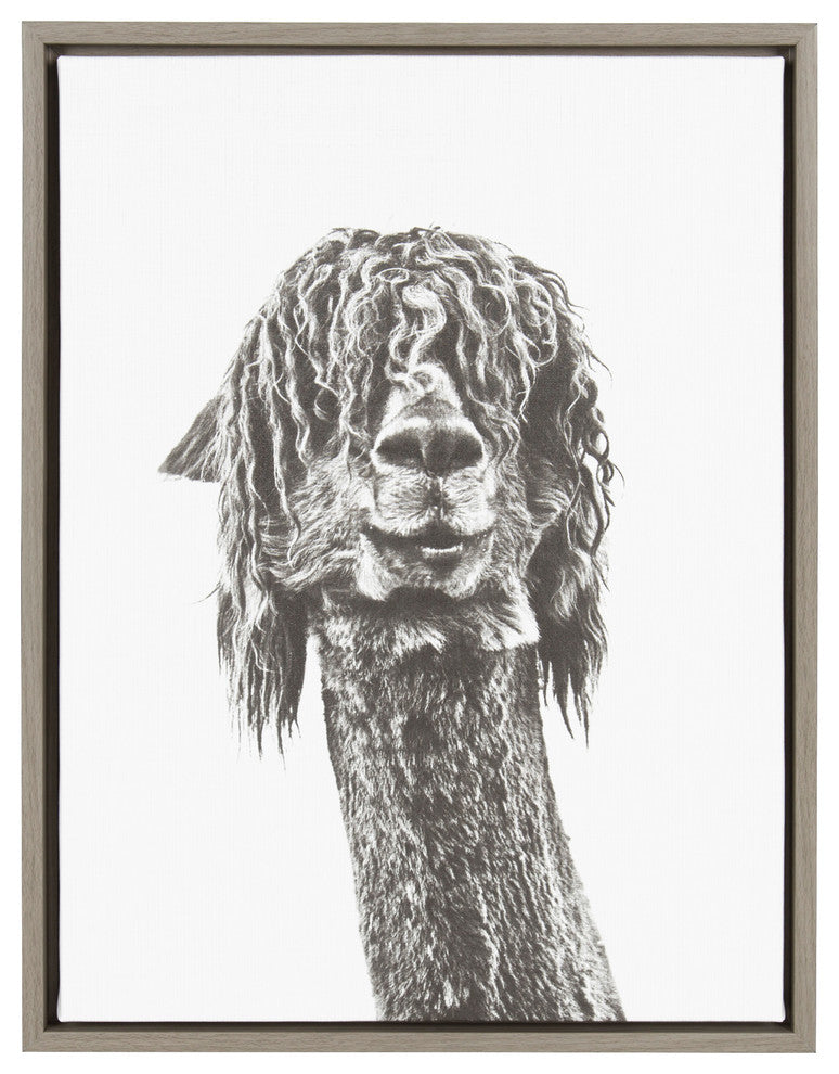 Sylvie Curly Alpaca 18x24 Gray Framed Canvas Wall Art by Simon Te Tai
