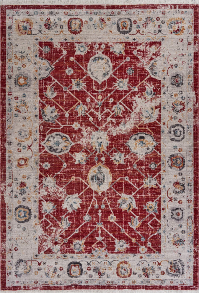 10" x 13" Red Distressed Border Area Rug