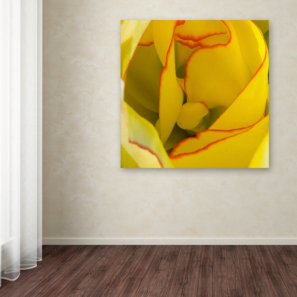 Kurt Shaffer 'Inside a Beautiful Tulip' Canvas Art, 24"x24"