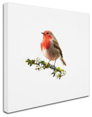 The Macneil Studio 'Robin' Canvas Art, 18"x18"